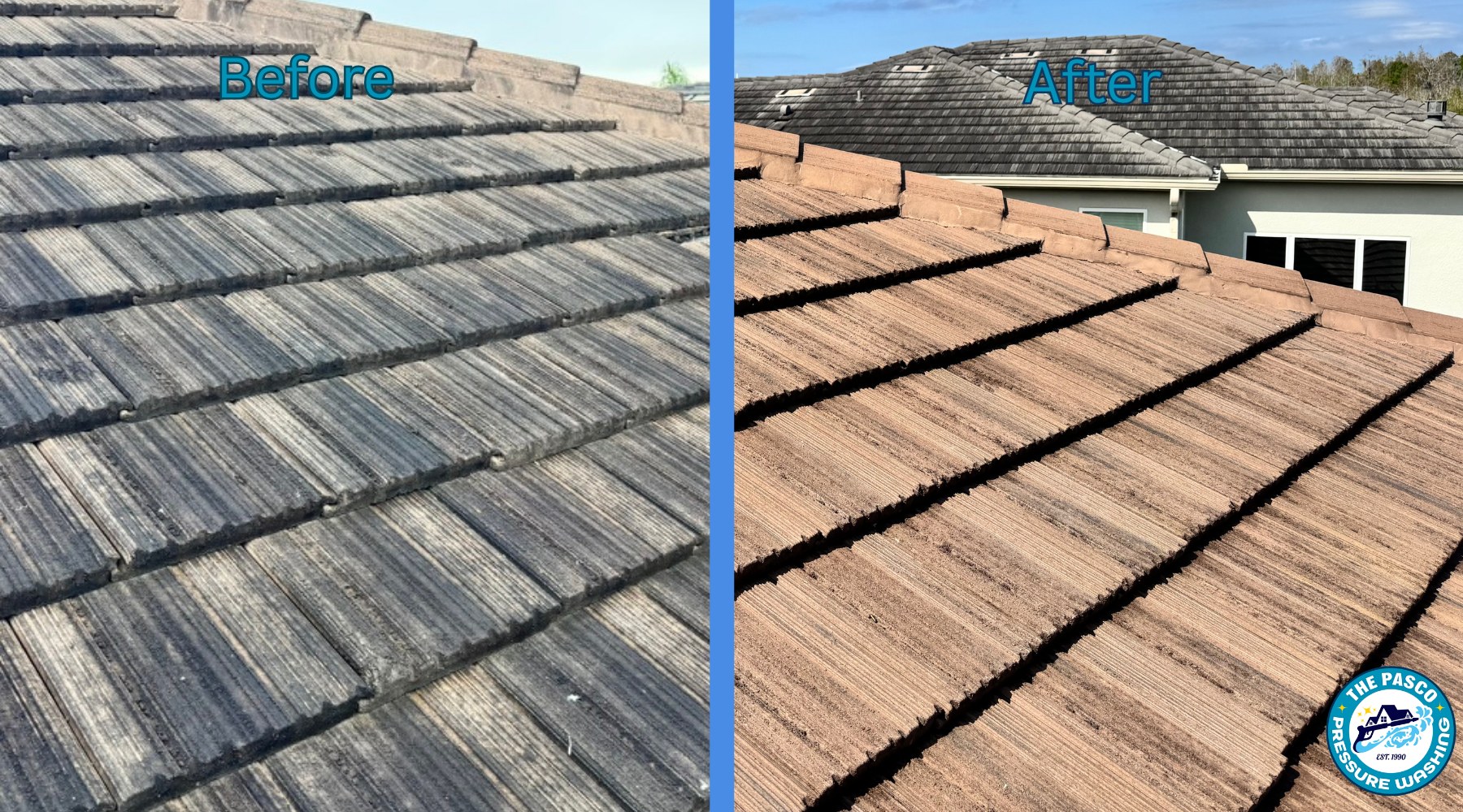 The Pasco Pressure Washing photo 8