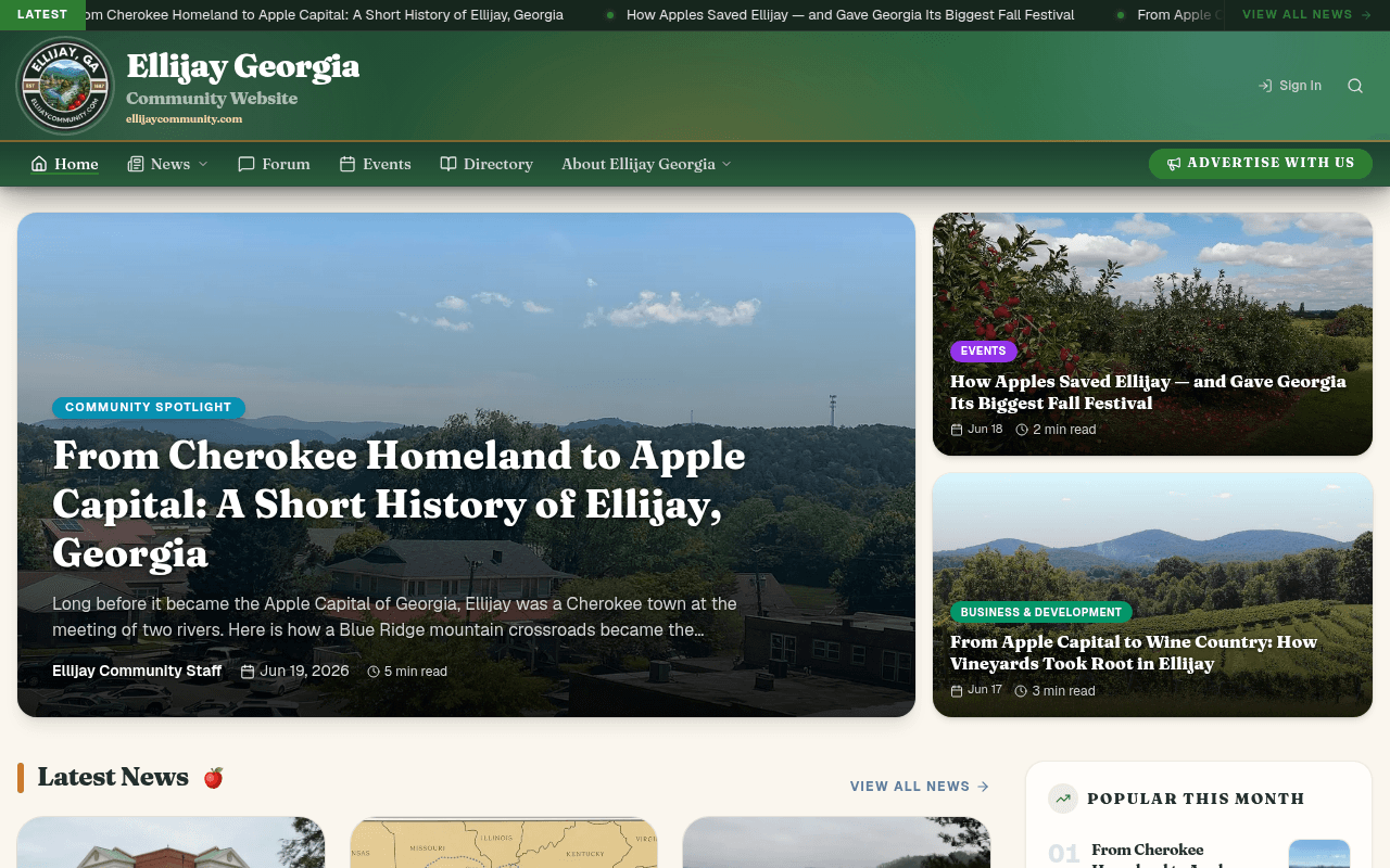Ellijay Community Website preview